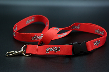 Red Keychain Lanyard with Carabiner – Grzejki - MR-SMYCZ-GR